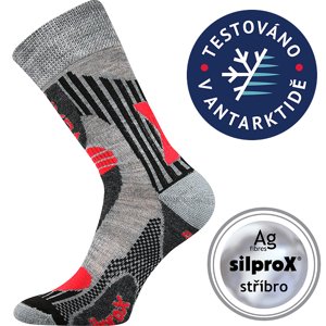VOXX Vision ponožky svetlosivé 1 pár 35-38 EU 110051