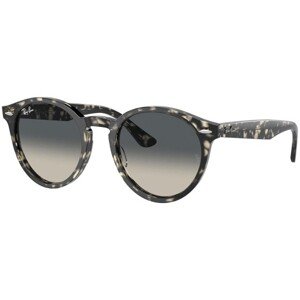 Ray-Ban Larry RB7680S 133371 - L (51)