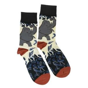 Pánske béžové ponožky CIRO